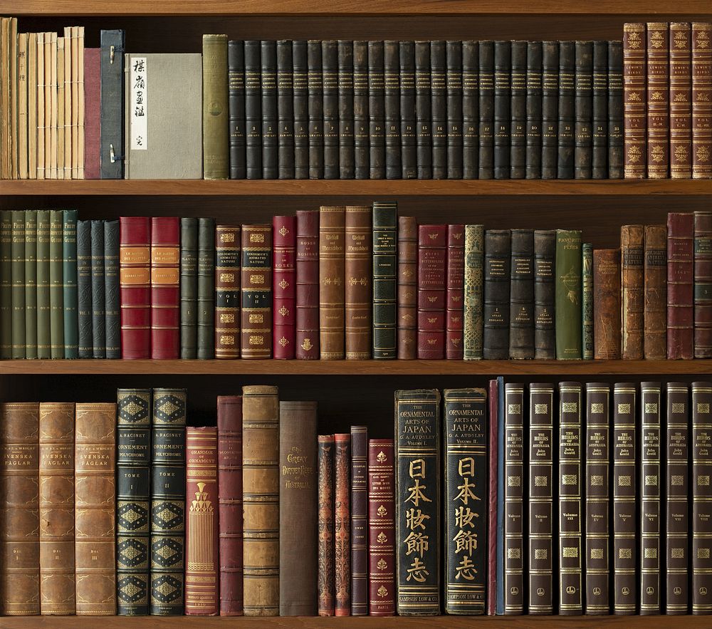 Why We’re Obsessed with BookTok: Dark Romance, Spicy Fantasy, and the Allure of the Forbidden