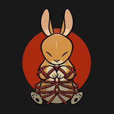 What is a Rope Bunny?