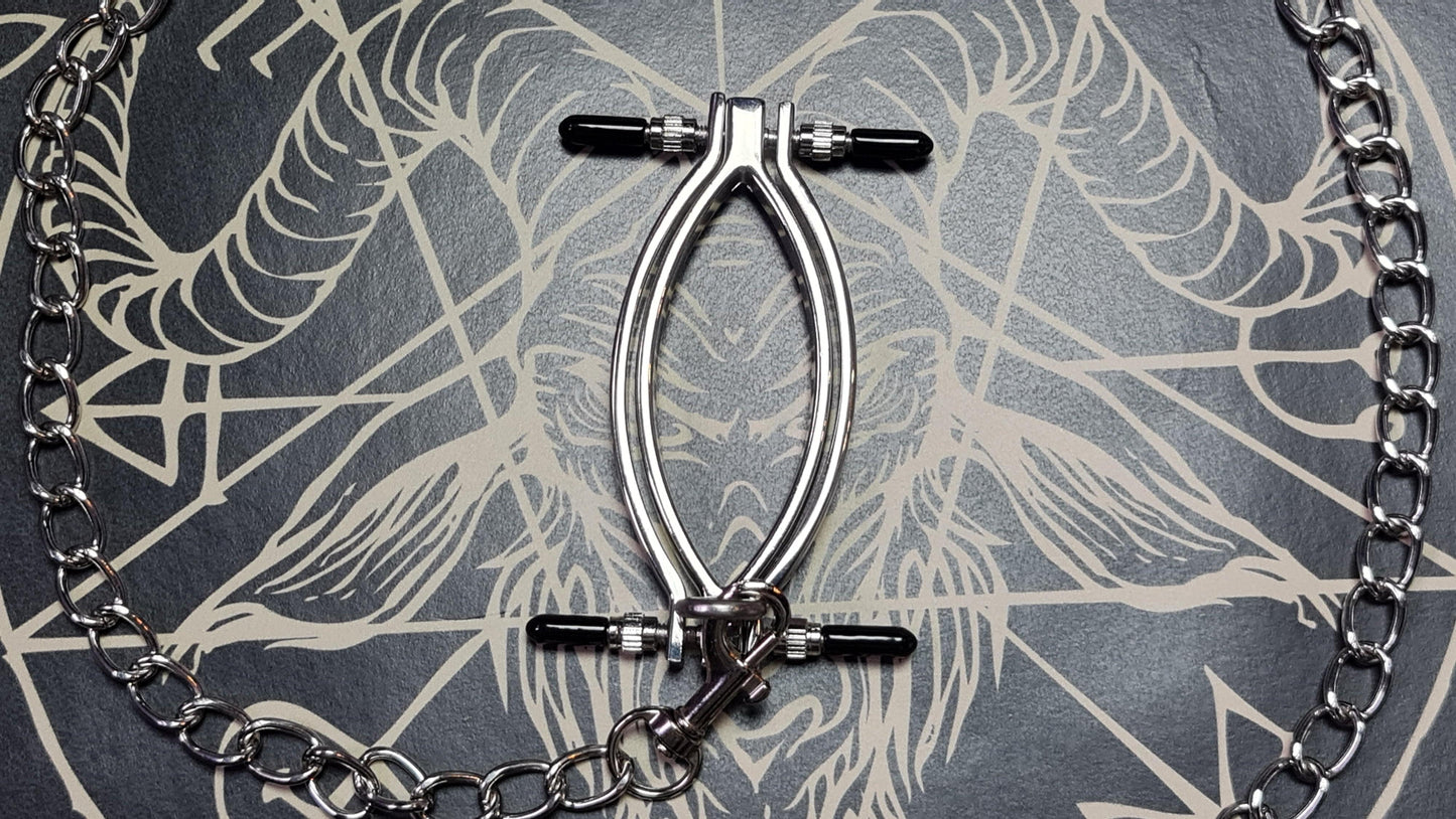 BDSM Pussy clamp with leash: pain sensation kink fetish medical play